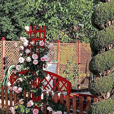 Une Pause Quelque Part Au Jardin Des Erables Et Des Niwakis Saint-Medard-de-Guizieres Bagian luar foto