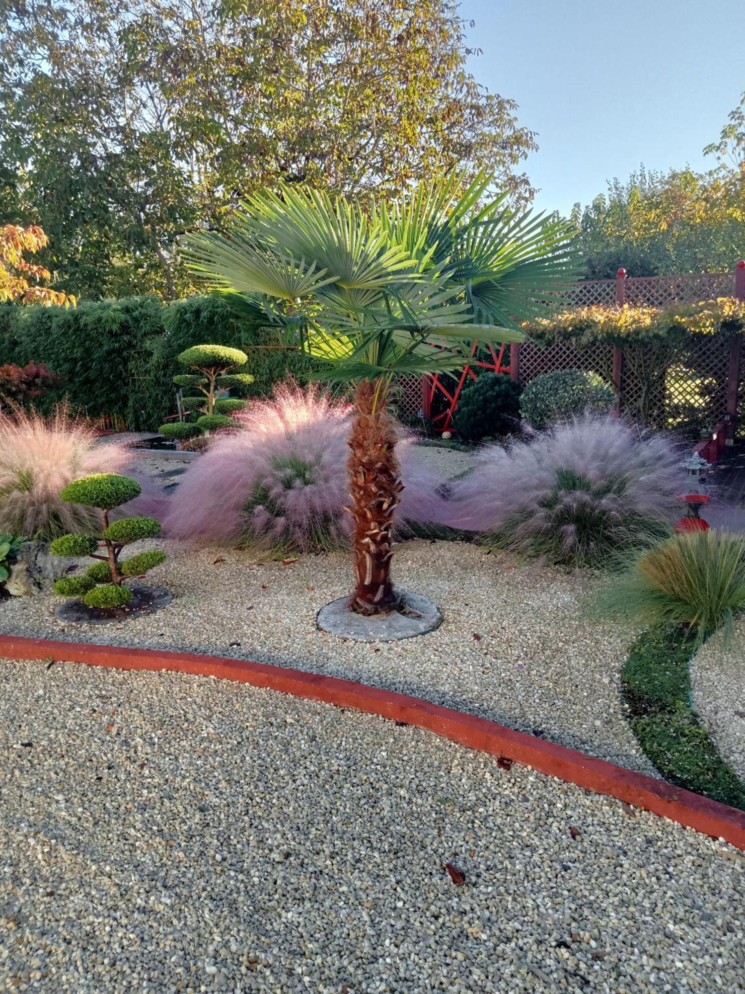 Une Pause Quelque Part Au Jardin Des Erables Et Des Niwakis Saint-Medard-de-Guizieres Bagian luar foto